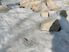 -雪帽山风景区