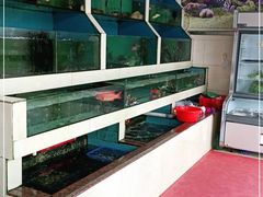 水产区-原龙海鲜大排档(美食地标店)