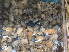 -良师门滨海人家·海鲜·家常菜(滨海城店)