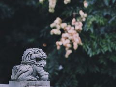 -道教老君洞