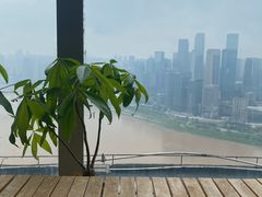 -PCA专业咖啡技能训练营(西南重庆总部)