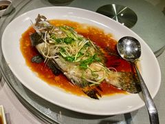 -協成海鮮火鍋(老店)