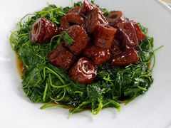 草头圈子-沪依小酒馆心意菜