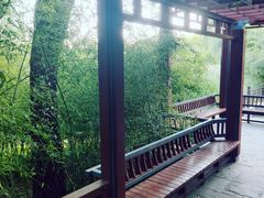 -北坞公园