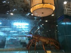 -金春禧(贵和领秀城店)