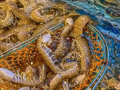 -阿马蛋汤·宁波小海鲜(总店)