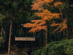 -虎丘山风景名胜区