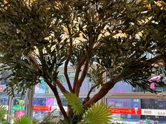 -BOTTEGA意库(中骏世界城店)