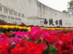 -西堤公园