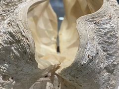 -青岛贝壳博物馆