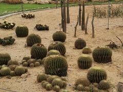 -东莞植物园