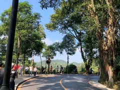 -深圳仙湖植物园-停车场
