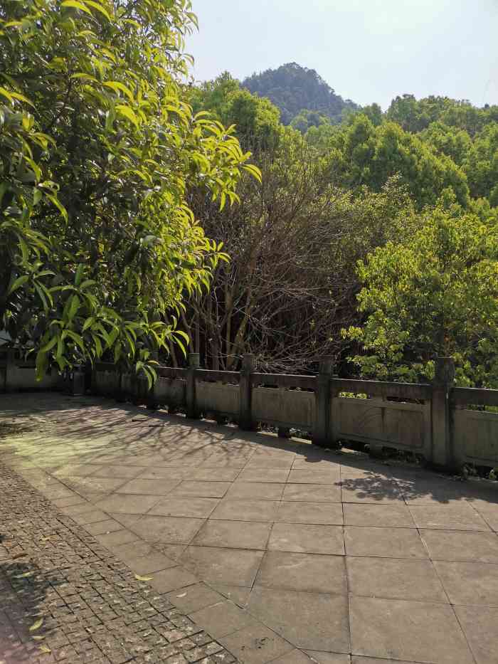 白市驿森林公园