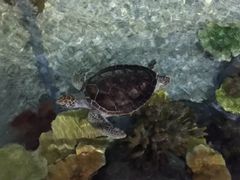 -福州罗源湾海洋世界旅游区