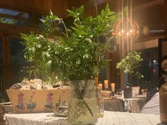 -一棵树·意大利西餐厅One Tree(新城店)