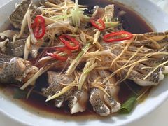 -煲来饱去冷水鱼