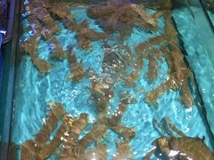 -潮粤香海鲜酒楼(沙湖店)