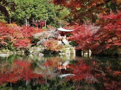 -醍醐寺