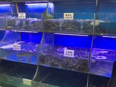 水产区-秧秧鱼小鱼火锅(冉家坝总店)