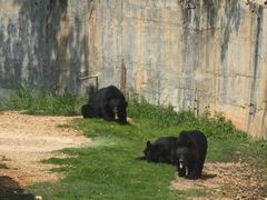-泉州海丝野生动物世界