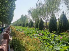 -兴芮温泉度假区