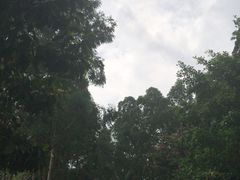 -火炉山森林公园