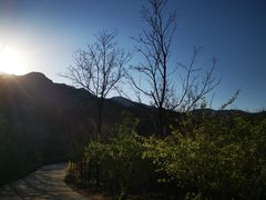 -阳台山自然风景区