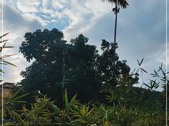 -海南槟榔谷黎苗文化旅游区