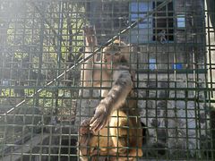 -南京金牛湖风景区