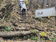 -天女山森林公园