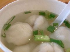 -蒂蒂香達濠魚丸