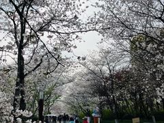 -自然谷恐龙园