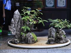 -朱家花园