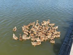 -野鸭湖国家湿地公园