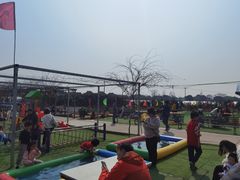 -小鱼草莓采摘园农家乐·小鱼餐厅