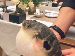 -肆月河豚·新淮扬(金融街店)