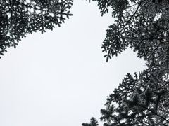-海螺沟风景区
