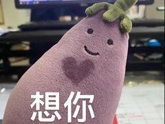 -渔寿司·日本料理(艾尚天地店)