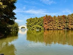 -上海海湾国家森林公园