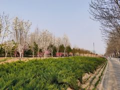 -盒马X会员店(王府井奥莱UP TOWN店)