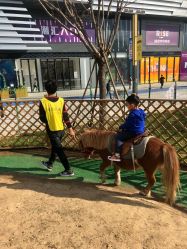 -萌宠亲子动物乐园(槐房万达店)