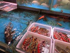 -金成潮菜博物馆(海珠湿地店)