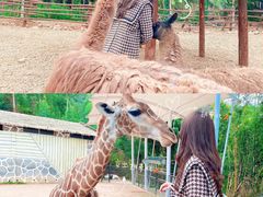 -泉州海丝野生动物世界