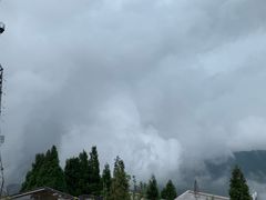 -武陵山森林公园
