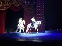 -珠海横琴长隆《卡卡虎奇遇记》