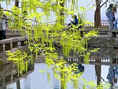 -西园戒幢律寺