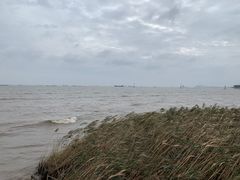 -上海吴淞炮台湾国家湿地公园