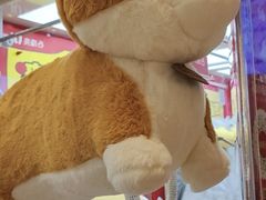 -LLJ夹机占(清河万象汇店)