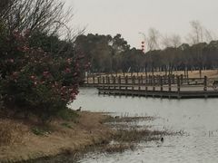 -艾溪湖湿地公园