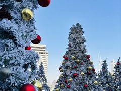 -Highline·城市露台景观餐厅(淮海路店)